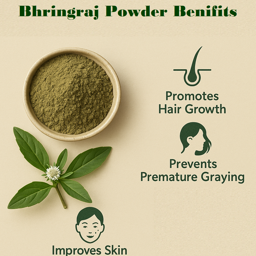 Bhringraj Powder - Image 4